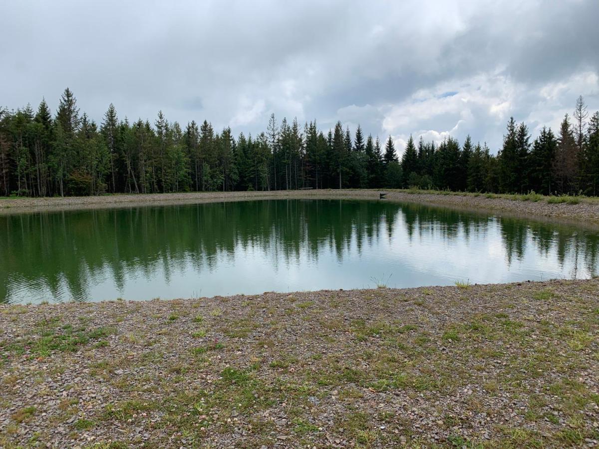 Residenz Schauinsland Todtnauberg - Fewo 17 - Sauna - Spielzimmer Fuer Kinder - Naehe Feldberg 外观 照片