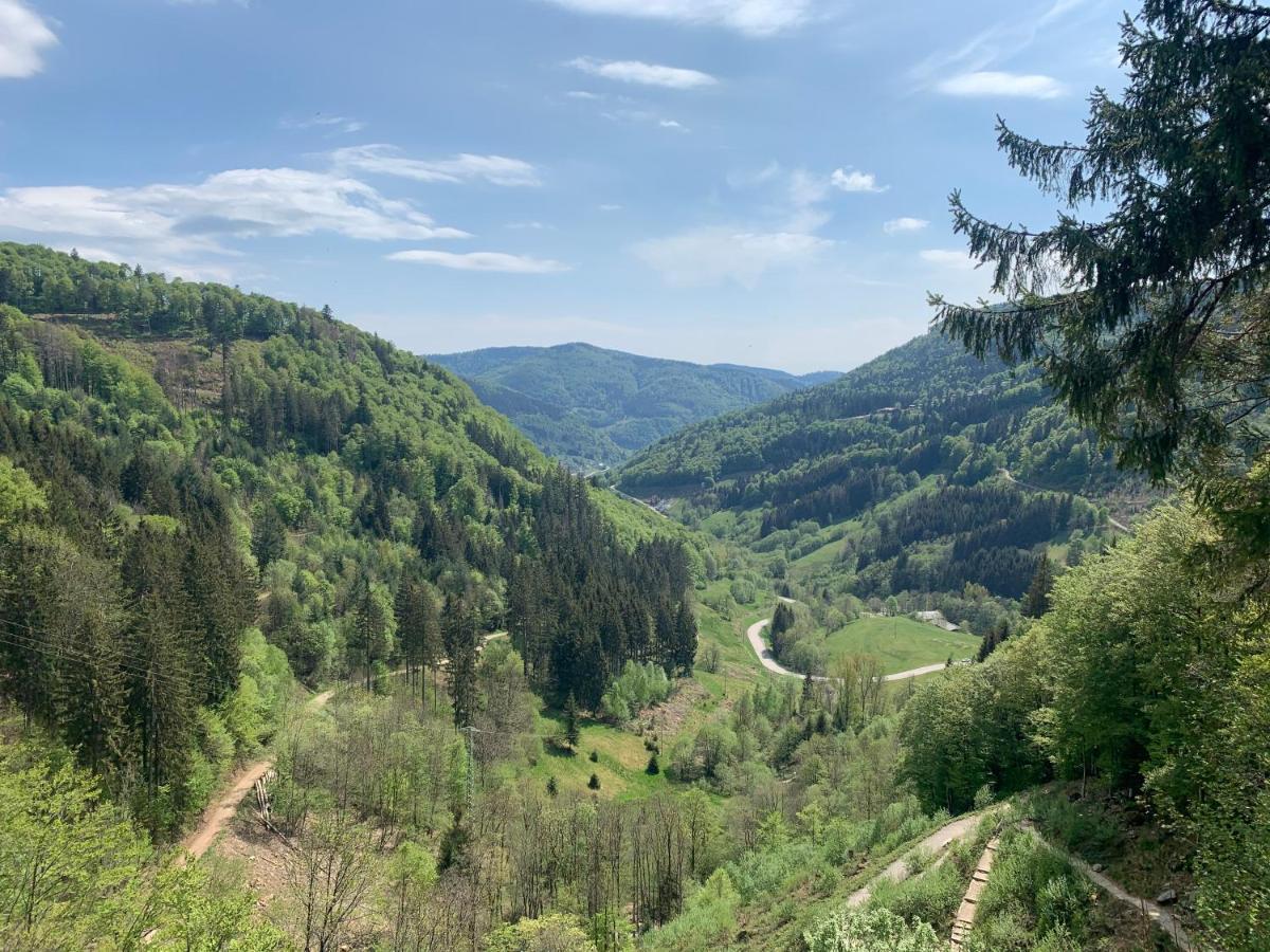 Residenz Schauinsland Todtnauberg - Fewo 17 - Sauna - Spielzimmer Fuer Kinder - Naehe Feldberg 外观 照片