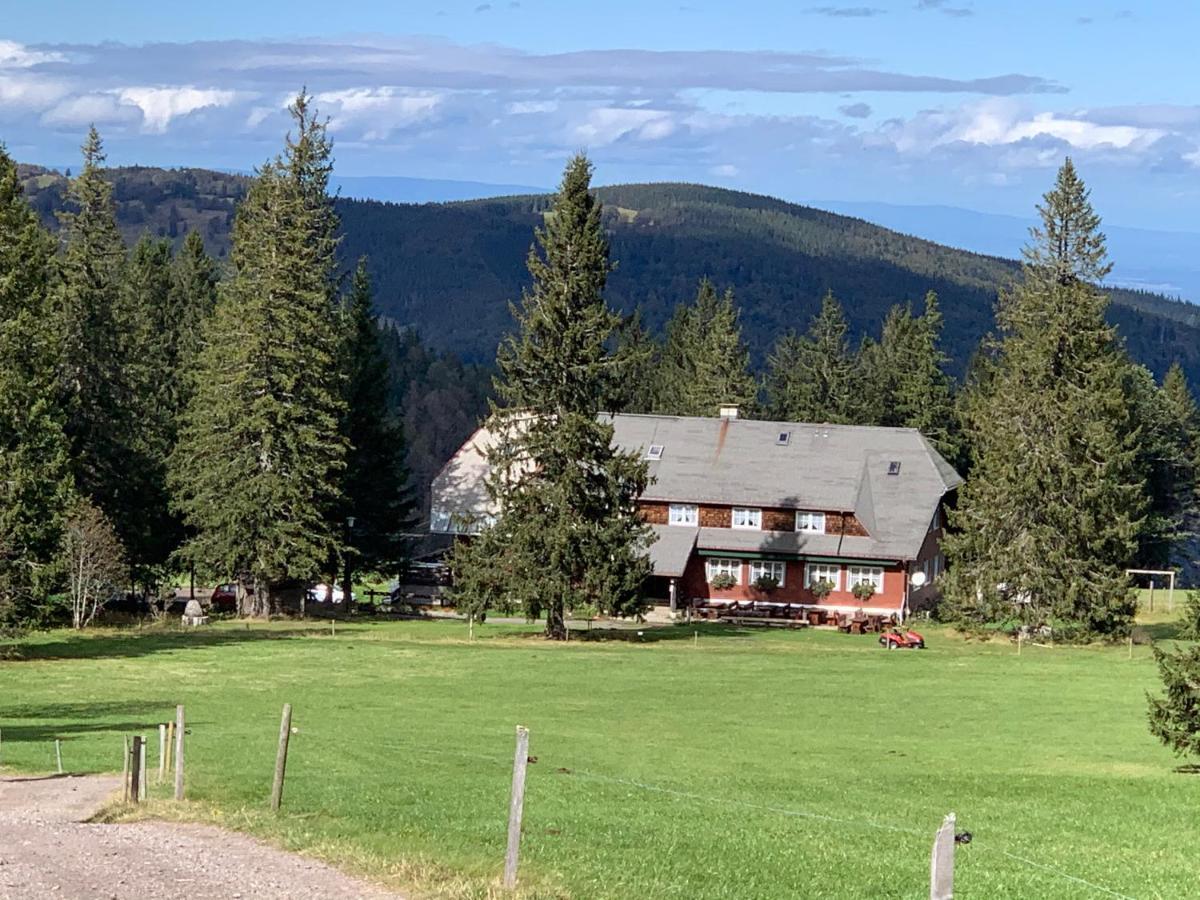 Residenz Schauinsland Todtnauberg - Fewo 17 - Sauna - Spielzimmer Fuer Kinder - Naehe Feldberg 外观 照片