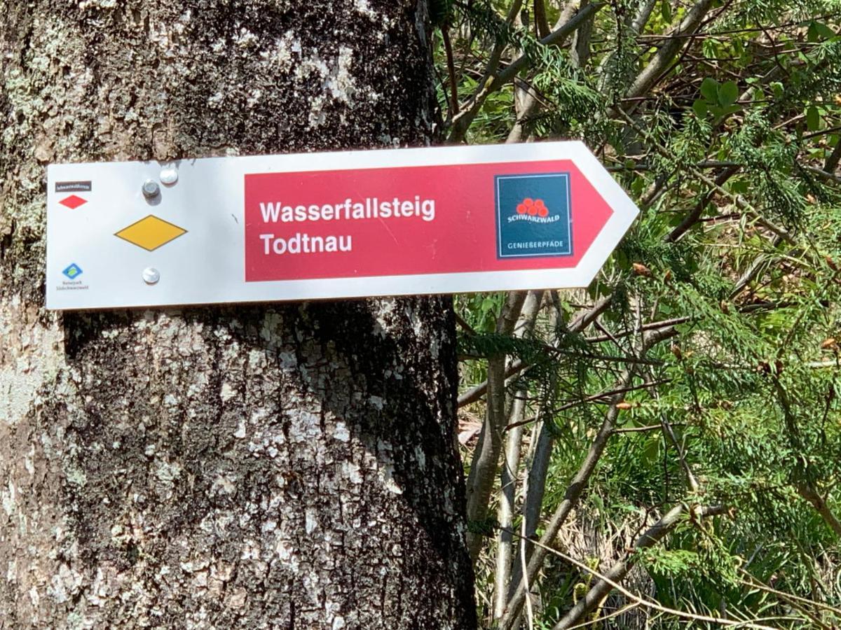 Residenz Schauinsland Todtnauberg - Fewo 17 - Sauna - Spielzimmer Fuer Kinder - Naehe Feldberg 外观 照片