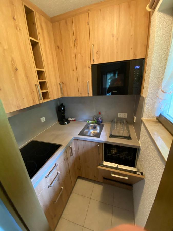 Residenz Schauinsland Todtnauberg - Fewo 17 - Sauna - Spielzimmer Fuer Kinder - Naehe Feldberg 外观 照片